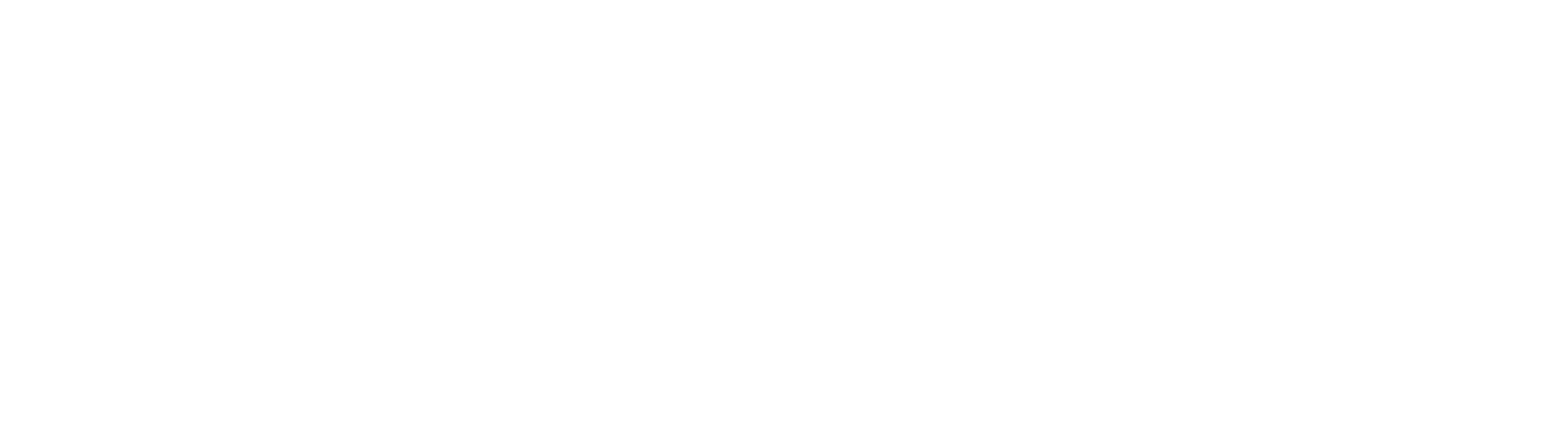 MM Motors Company